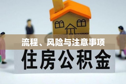 渭滨流程、风险与注意事项